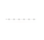 ¡®Star¡¯CLOVER 6 MOTIF SILVER DIAMOND BRACELET